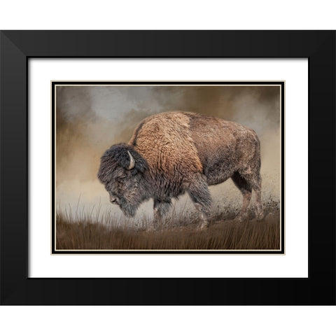 Where the Bison Roam Black Modern Wood Framed Art Print with Double Matting by Parker, Kelley
