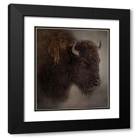 Deep Freeze Black Modern Wood Framed Art Print with Double Matting by Parker, Kelley