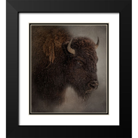 Deep Freeze Black Modern Wood Framed Art Print with Double Matting by Parker, Kelley