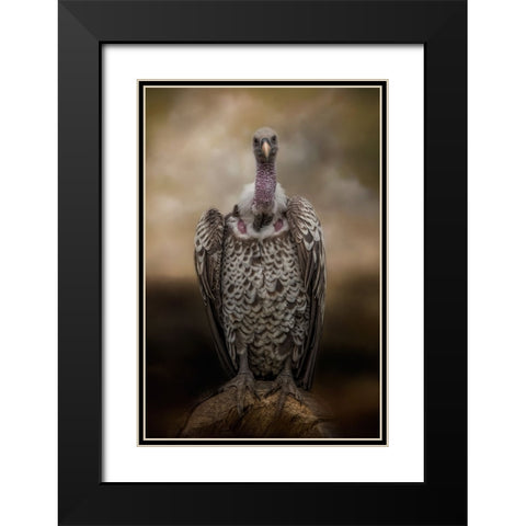 Look Into My Eyes Black Modern Wood Framed Art Print with Double Matting by Parker, Kelley