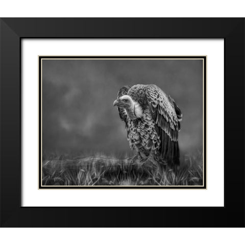 The Scavenger Black Modern Wood Framed Art Print with Double Matting by Parker, Kelley