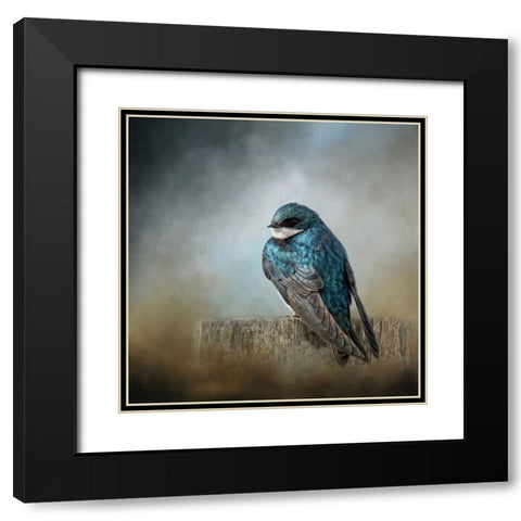 Pretty Boy Blue Black Modern Wood Framed Art Print with Double Matting by Parker, Kelley