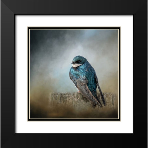 Pretty Boy Blue Black Modern Wood Framed Art Print with Double Matting by Parker, Kelley