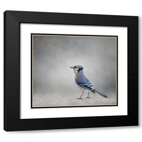 Frosty Morning Black Modern Wood Framed Art Print with Double Matting by Parker, Kelley