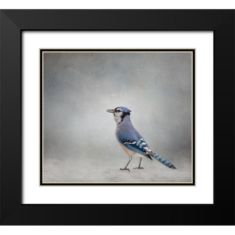 Frosty Morning Black Modern Wood Framed Art Print with Double Matting by Parker, Kelley