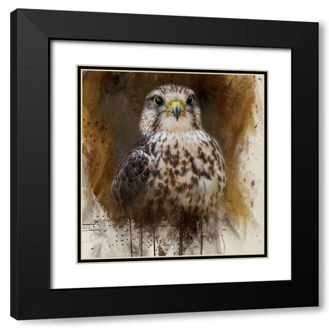 Falcon Spirit Black Modern Wood Framed Art Print with Double Matting by Parker, Kelley