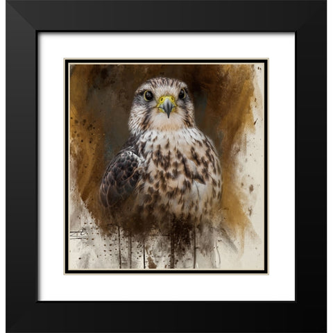 Falcon Spirit Black Modern Wood Framed Art Print with Double Matting by Parker, Kelley