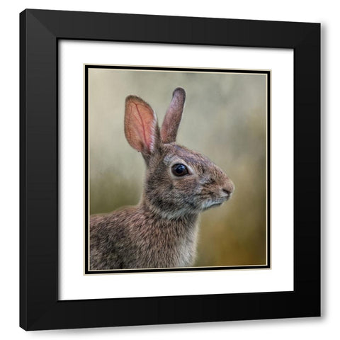 All Ears Black Modern Wood Framed Art Print with Double Matting by Parker, Kelley