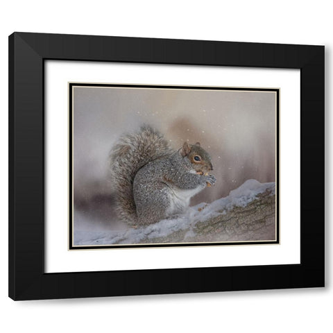 Winters Bounty Black Modern Wood Framed Art Print with Double Matting by Parker, Kelley