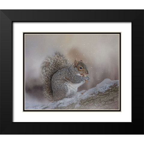 Winters Bounty Black Modern Wood Framed Art Print with Double Matting by Parker, Kelley