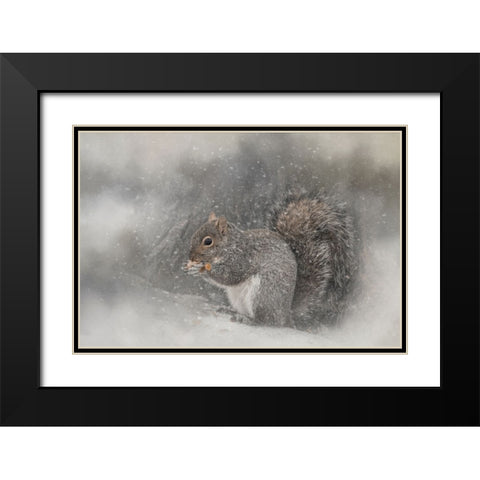 Snack Time Black Modern Wood Framed Art Print with Double Matting by Parker, Kelley