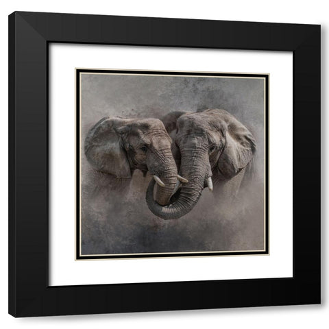 Big Hug Black Modern Wood Framed Art Print with Double Matting by Parker, Kelley