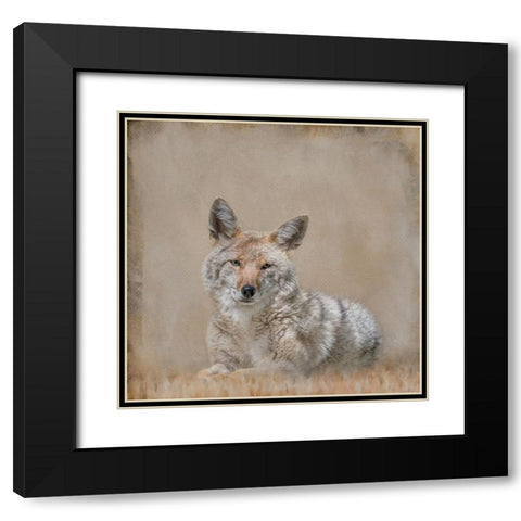 Perfect Pose Black Modern Wood Framed Art Print with Double Matting by Parker, Kelley