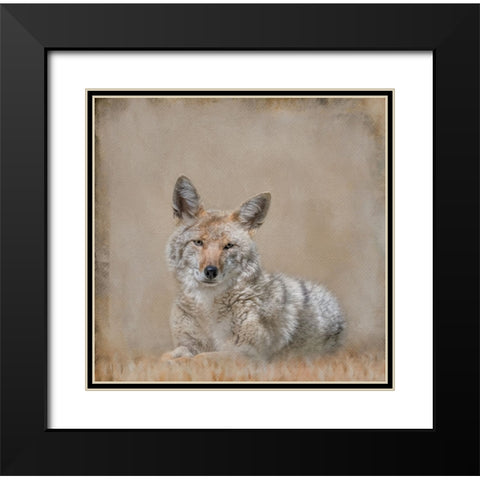 Perfect Pose Black Modern Wood Framed Art Print with Double Matting by Parker, Kelley