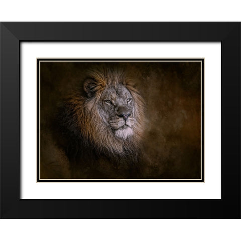 Inner Strength Black Modern Wood Framed Art Print with Double Matting by Parker, Kelley
