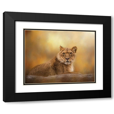 Dawning of the Day Black Modern Wood Framed Art Print with Double Matting by Parker, Kelley