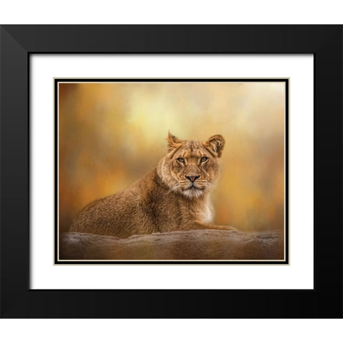 Dawning of the Day Black Modern Wood Framed Art Print with Double Matting by Parker, Kelley