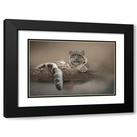 Lounging Around Black Modern Wood Framed Art Print with Double Matting by Parker, Kelley