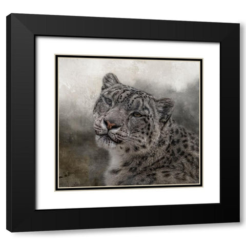 Face of the Wild Black Modern Wood Framed Art Print with Double Matting by Parker, Kelley