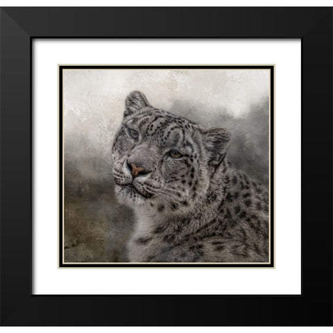 Face of the Wild Black Modern Wood Framed Art Print with Double Matting by Parker, Kelley