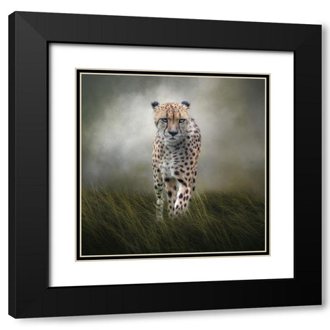 On the Move Black Modern Wood Framed Art Print with Double Matting by Parker, Kelley