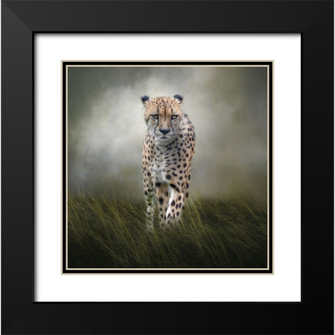 On the Move Black Modern Wood Framed Art Print with Double Matting by Parker, Kelley