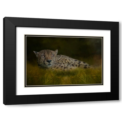 Resting After the Race Black Modern Wood Framed Art Print with Double Matting by Parker, Kelley