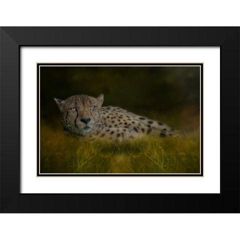 Resting After the Race Black Modern Wood Framed Art Print with Double Matting by Parker, Kelley