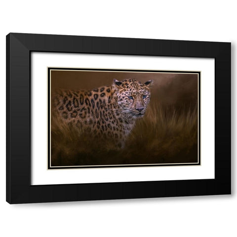 Spotted Hunter Black Modern Wood Framed Art Print with Double Matting by Parker, Kelley