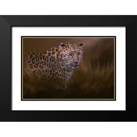 Spotted Hunter Black Modern Wood Framed Art Print with Double Matting by Parker, Kelley