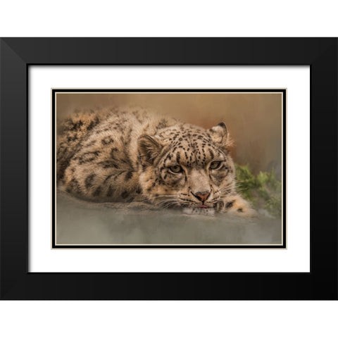 Taking It Easy Black Modern Wood Framed Art Print with Double Matting by Parker, Kelley