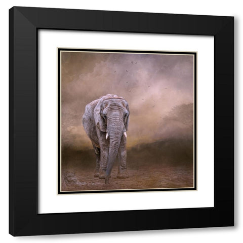 The Elderly Matriarch Black Modern Wood Framed Art Print with Double Matting by Parker, Kelley