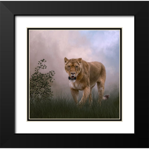 Daily Prowl Black Modern Wood Framed Art Print with Double Matting by Parker, Kelley