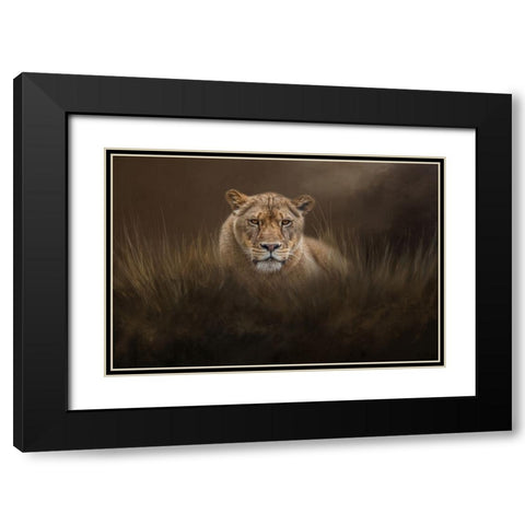 Hiding in the Grass Black Modern Wood Framed Art Print with Double Matting by Parker, Kelley