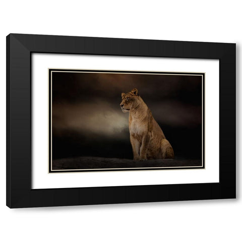 Evening Sentinel Black Modern Wood Framed Art Print with Double Matting by Parker, Kelley