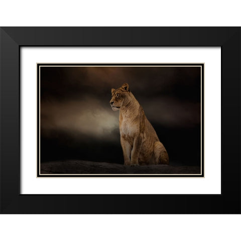 Evening Sentinel Black Modern Wood Framed Art Print with Double Matting by Parker, Kelley