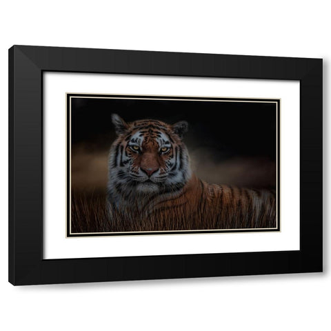 Alone in the Night Black Modern Wood Framed Art Print with Double Matting by Parker, Kelley