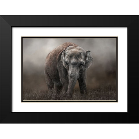 Power and Grace Black Modern Wood Framed Art Print with Double Matting by Parker, Kelley