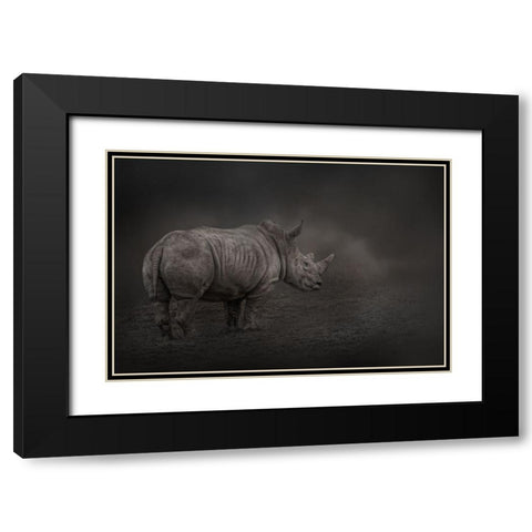 Rhino Land Black Modern Wood Framed Art Print with Double Matting by Parker, Kelley