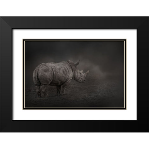 Rhino Land Black Modern Wood Framed Art Print with Double Matting by Parker, Kelley
