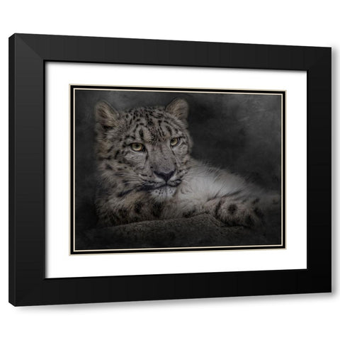 Lurking in the Shadows Black Modern Wood Framed Art Print with Double Matting by Parker, Kelley