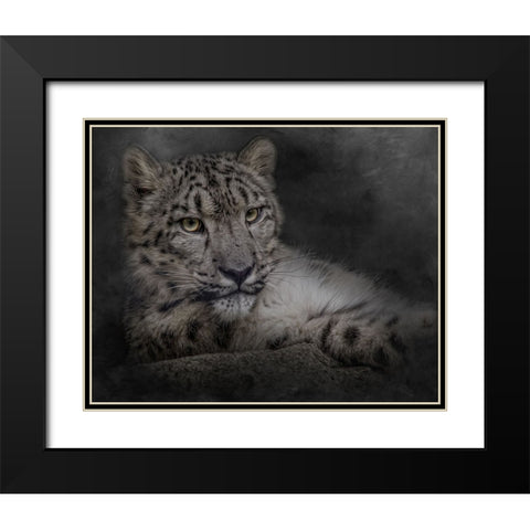 Lurking in the Shadows Black Modern Wood Framed Art Print with Double Matting by Parker, Kelley