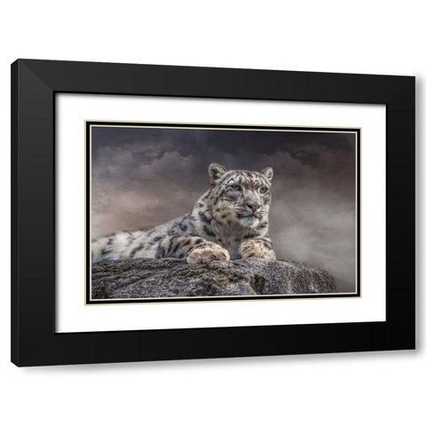 Spotted Beauty Black Modern Wood Framed Art Print with Double Matting by Parker, Kelley