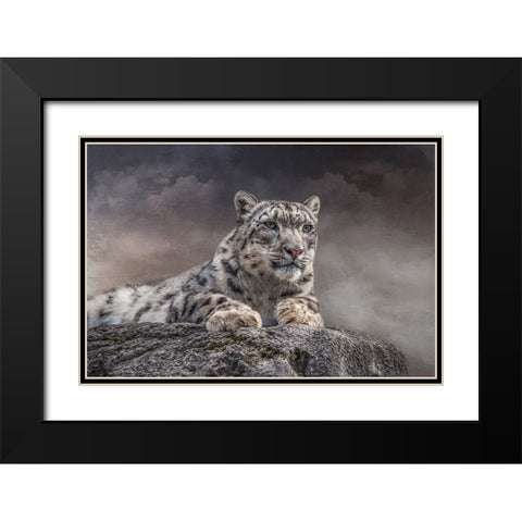 Spotted Beauty Black Modern Wood Framed Art Print with Double Matting by Parker, Kelley