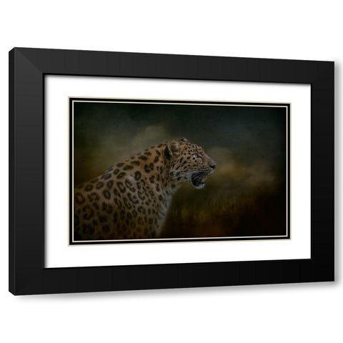 Watchful Waiting Black Modern Wood Framed Art Print with Double Matting by Parker, Kelley