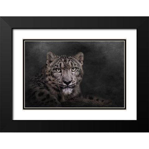 Piercing the Darkness Black Modern Wood Framed Art Print with Double Matting by Parker, Kelley