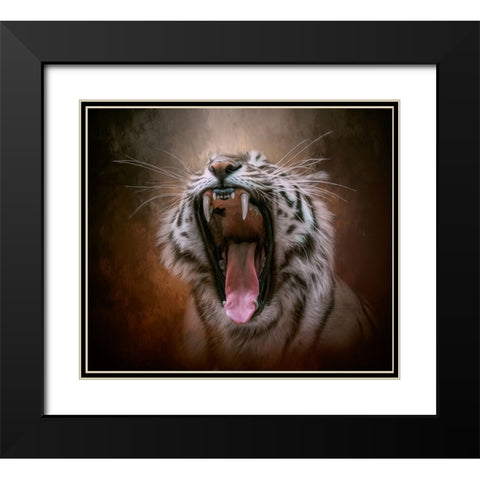 Unleashed Black Modern Wood Framed Art Print with Double Matting by Parker, Kelley