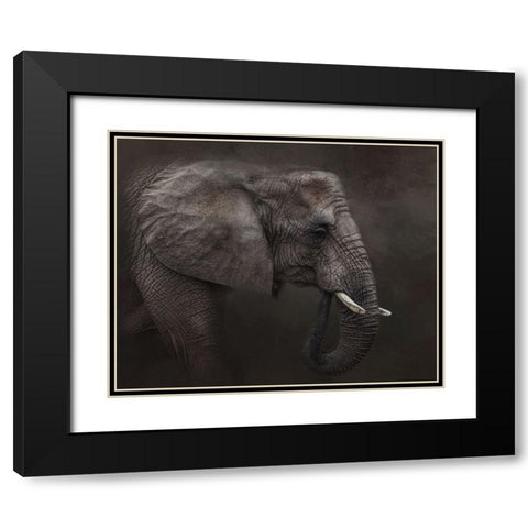 Ancient Wisdom Black Modern Wood Framed Art Print with Double Matting by Parker, Kelley