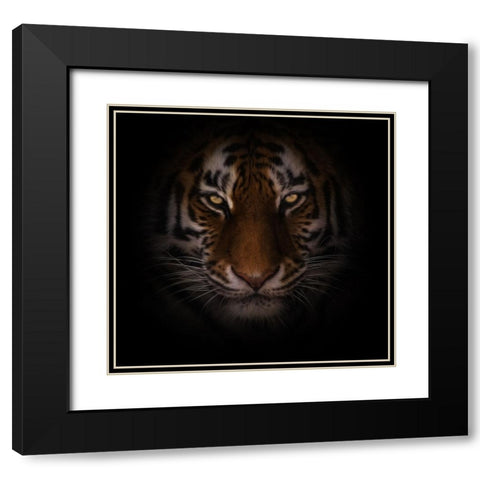 Eyes of Warning Black Modern Wood Framed Art Print with Double Matting by Parker, Kelley