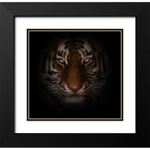 Eyes of Warning Black Modern Wood Framed Art Print with Double Matting by Parker, Kelley